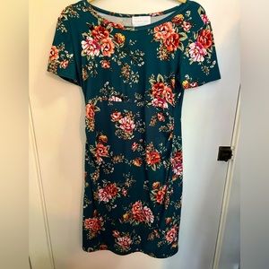 Maternity Short Sleeve Fitted Knit Dress